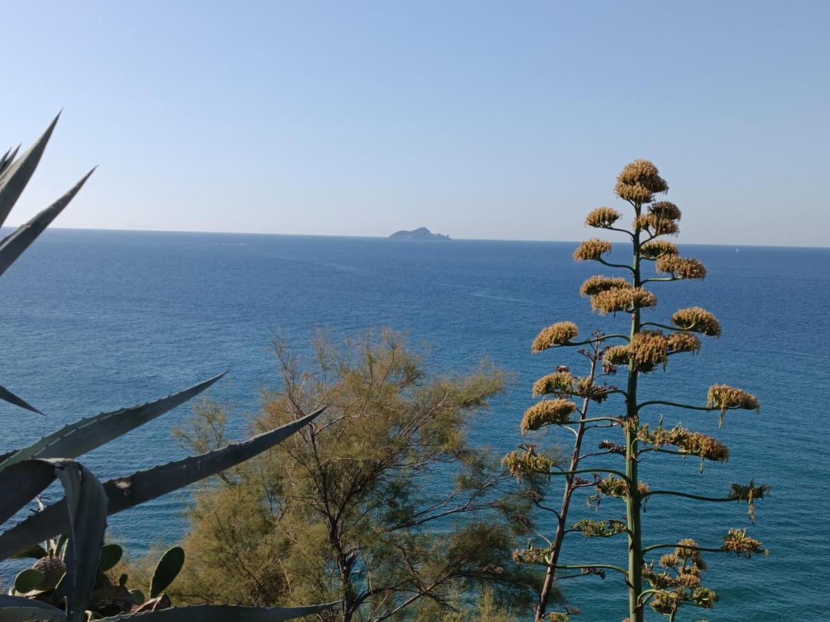 La Vista Storica Apartamento Piombino Exterior foto